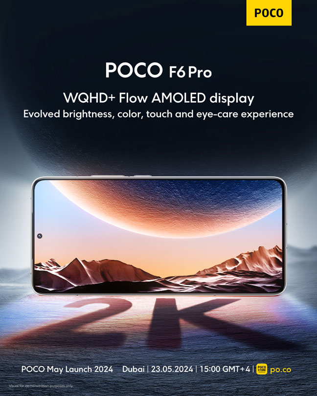 POCO F6 Pro WQHD+ Display